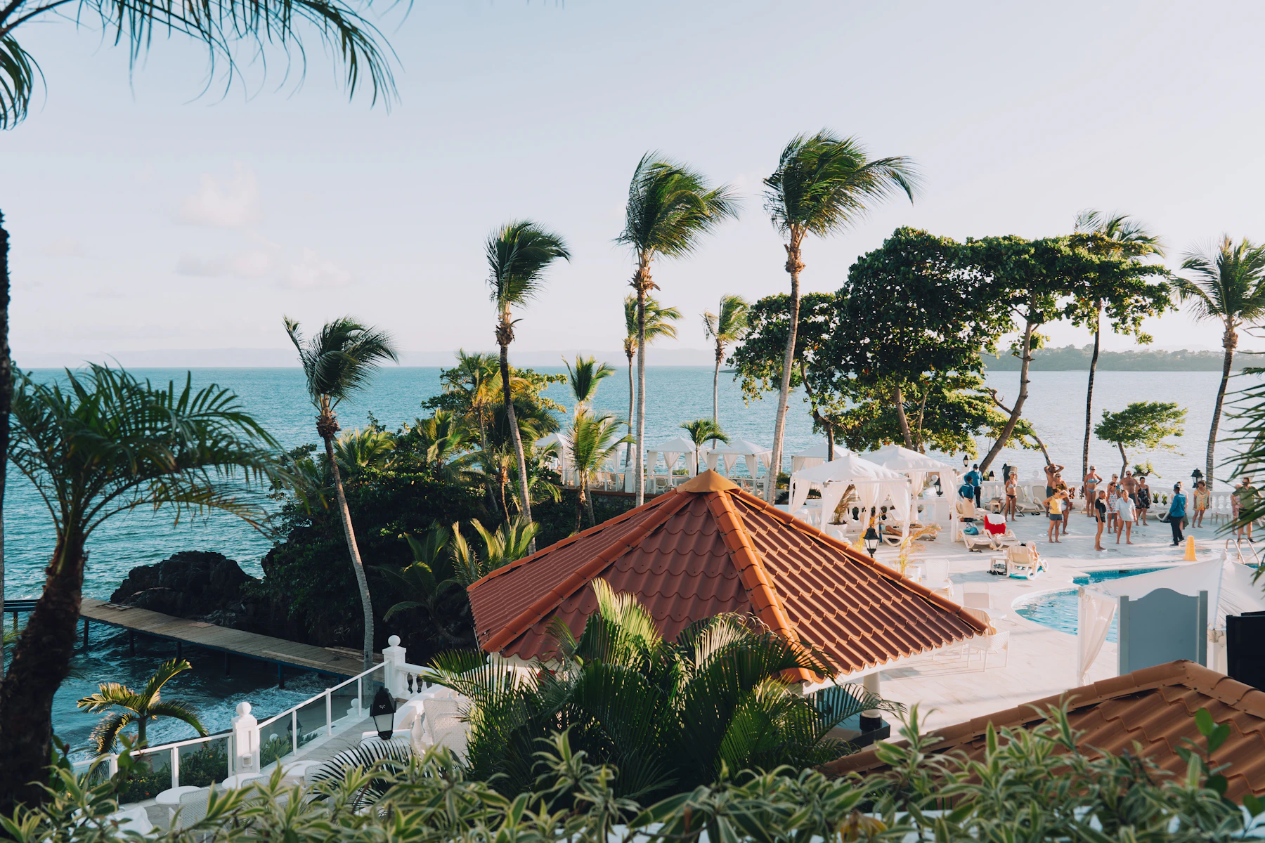 Palm trees and a sunlit pool beside the sea